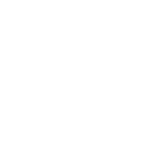 vim large logo 235x235 2