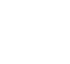 flow logo